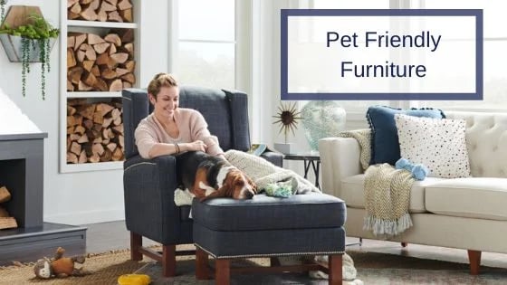 Pet clearance resistant couch